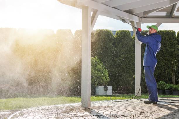 Best Solar Panel Cleaning  in Raynham Center, MA