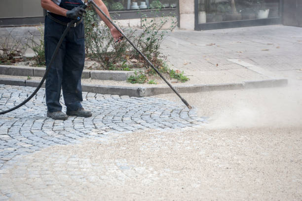 Best Roof Washing  in Raynham Center, MA